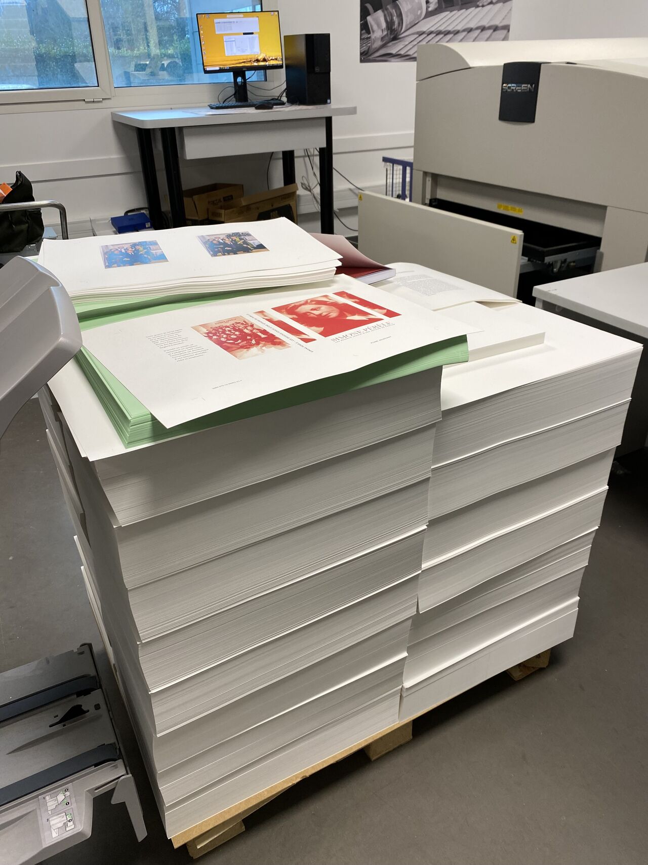 Feuilles de imprimée empilées avant assemblage pour former un livre plume d'éléphant